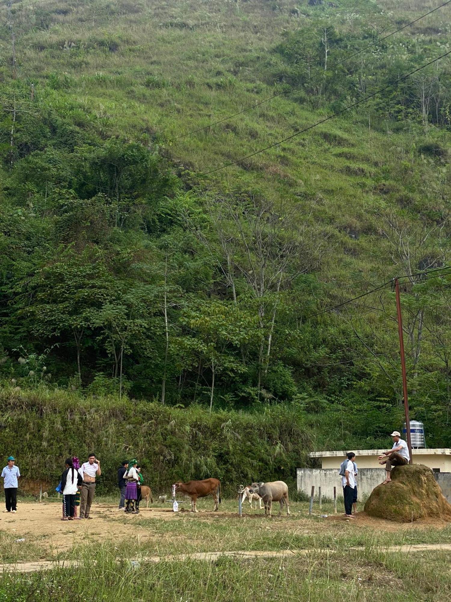 To Day Du Gia Village Làng Cac Exteriér fotografie
